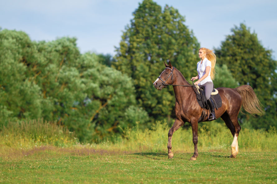 Horseback Riding