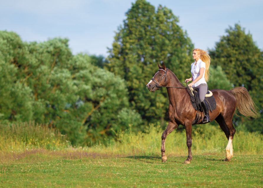 Horseback Riding in Thomasville Georgia